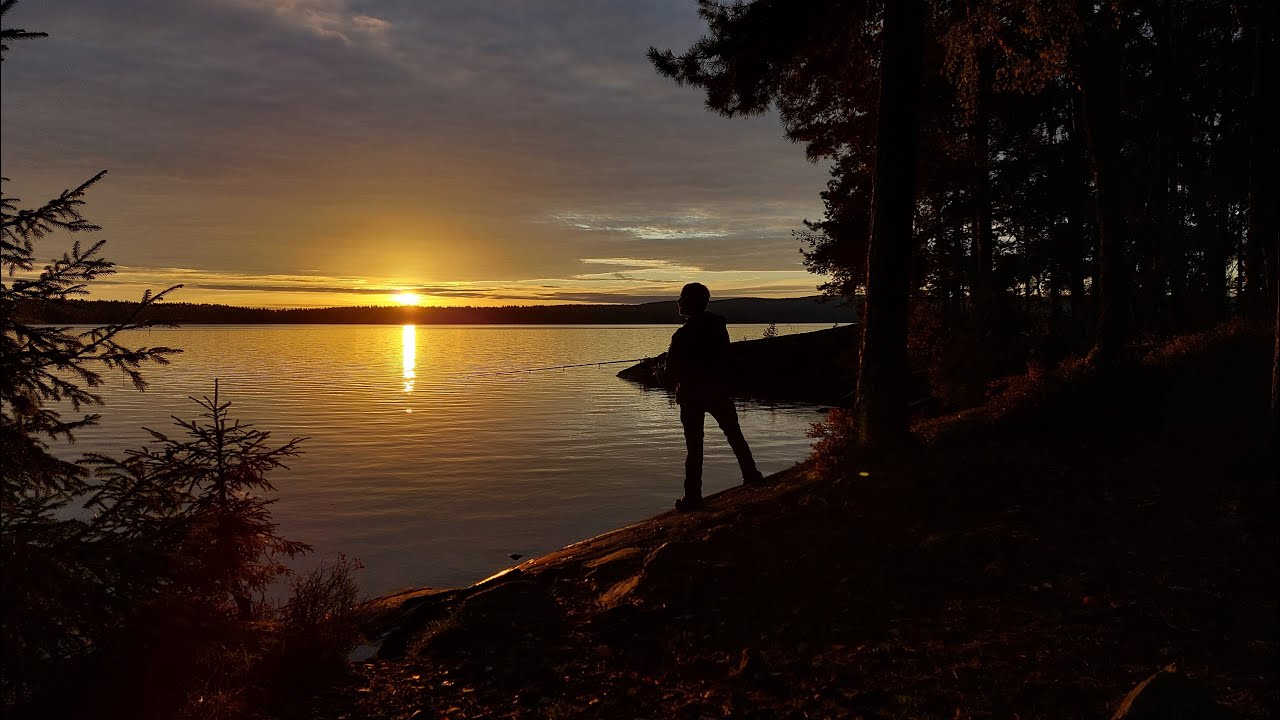 Trekkingschool Zweden, september 2024 | Cursus wildernistrekking, survival, bushcraft en navigatie