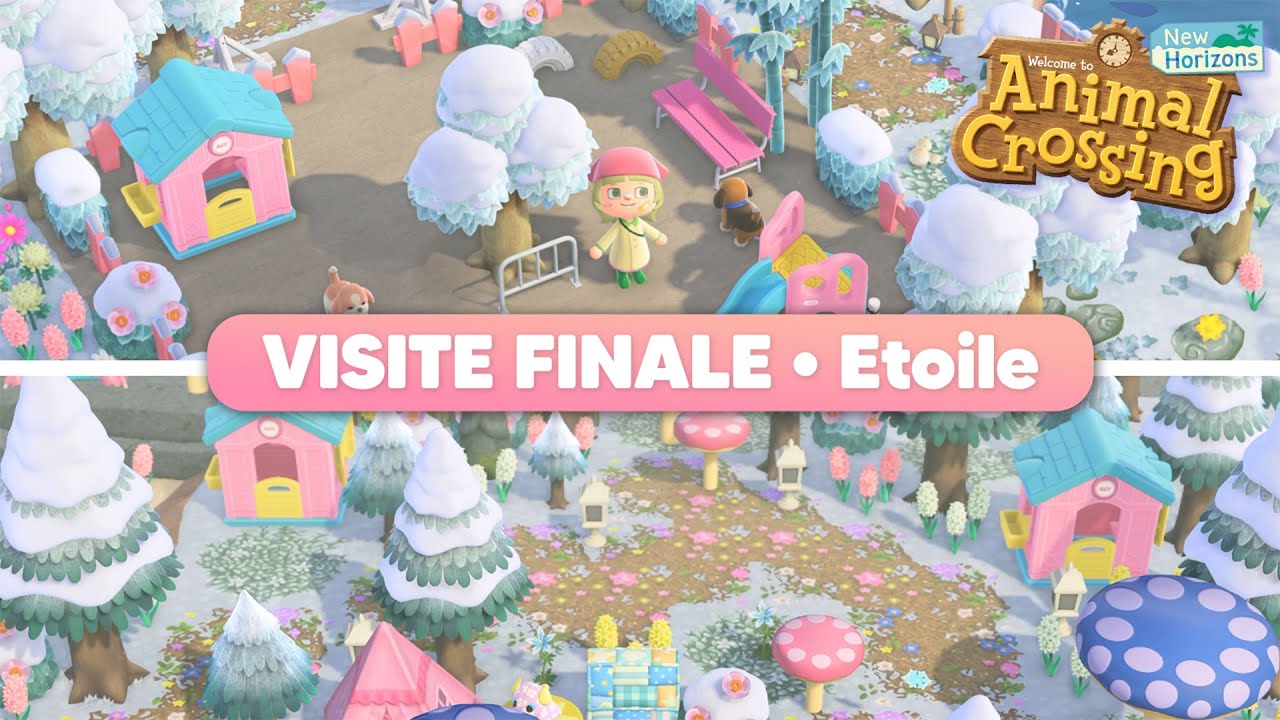 🤩🩷 Une ILE ENTIERE en 3H sur les REVER'ILES 3.0 ACNH ! (Etoile)