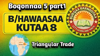 Barnoota Hawaasaa kutaa 8 Boqonnaa 5 part 1 | Triangular Trade | ministirii kutaa 8
