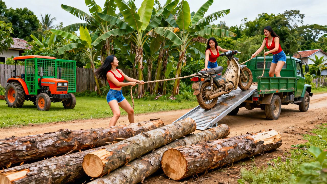 Use Truck to Pull Giant Logs Ashore, Transport The Rusty Car from The River | DươngFarmTV