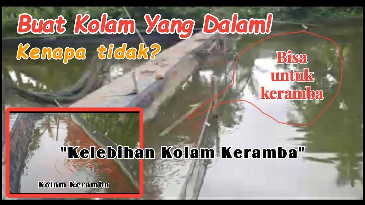 Keramba di kolam tanah, ini dia kelebihan dan kekurangannya