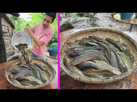 Country Man cook fresh fish from the river with country style - Enjoy country life