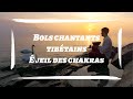 Bols chantants tibtains  veil des chakras