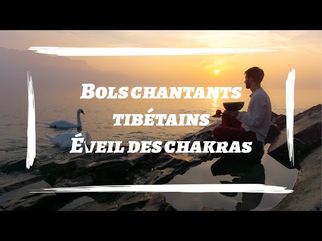 Bols Chantants : Une Symphonie de Chakras et Symboles Spirituels – LythoSof