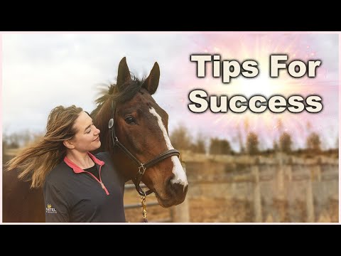 COMMENT la confiance GAIN A cheval ????