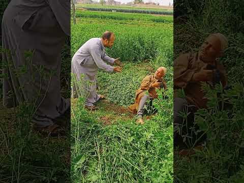 ابويا عايز يتجوز على امه متابعه ولايك واكسبلور