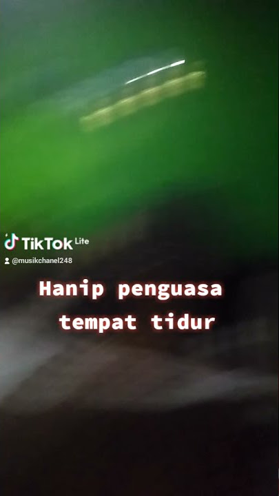 Tik tok @musikchanel46 Hanip penguasa tempat tidur #story #lovecat #storywasad #story #wa #Gabut