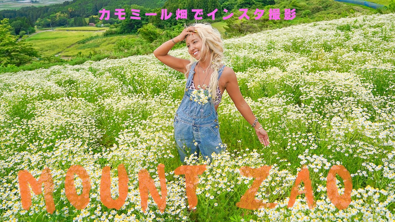 Japan】宮城県観光！ざおうハーブのカモミール畑に行ってインスタの