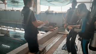 20190626初級測考