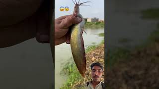 #fishing #fish #trendingshorts #reels #youtubeshorts #bollywood #viral #video