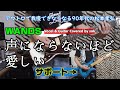 WANDS 声にならないほど愛しい Vocal & Guitar Cover 我慢できなくなくなるギターカバーシリーズ