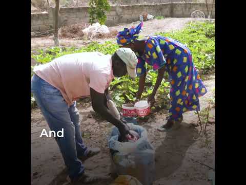 Women farmers driving climate adaptation