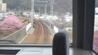 2019/02/24　特急スーパービュー踊り子8号東京行き　河津駅到着前　車内放送