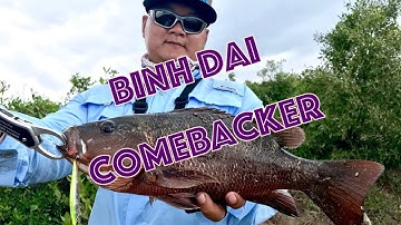 Trở Về Bình Đại Câu Cá Chẽm | Barramundi Fishing 15 July 2018
