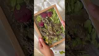 Shadow Wooden Box Frame For Dried Flowers