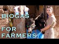 Biogas in Morocco | Biodome | The Meridian Expedition