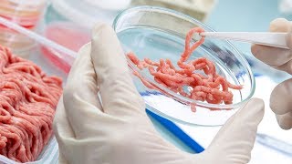 The Coming Meat Wars – 17 Mind-Blowing Predictions