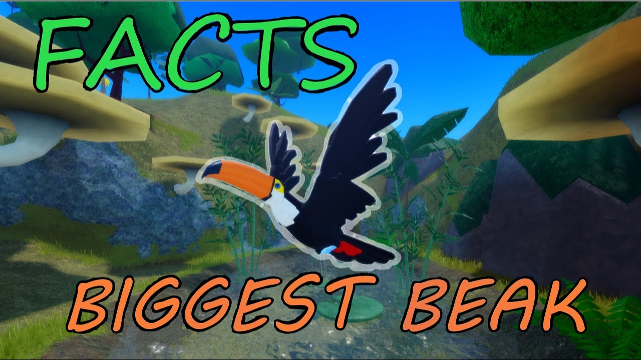Interesting Facts About Every Bird in Feather Family! 🦚