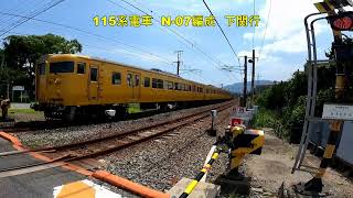 東洋紡前踏切を通過する貨物3選と115系電車　69レ　EF210－101　1056レ　EF210－147　1051レ　EF210－157　7月18日