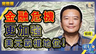 【繁簡字幕】金融危機更加強美元霸權地位!(Part 2/3)嘉賓:楊總︱葳言大意︱Sun Channel︱20210113