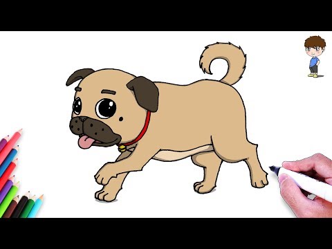 Vídeo: Como Desenhar Um Pug