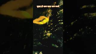 gupta dham 🔱☘️🙏 har har Mahadev 🙏.          #pawansingh #song #harharmahadev