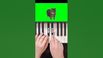 OIIAO Spinning Cat Piano Tutorial #shorts