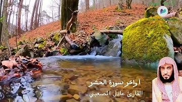 أواخر سورة الحشر القارئ عادل حسين المصعبي