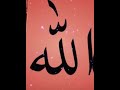 ya Allah 🙏🏼😀