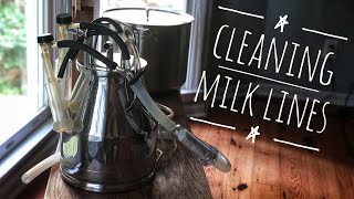 In this video we show you how clean our equipment after each milking.
facebook: http://facebook.com/hammockhavenfarm website:
http://hammockhavenfarm.com ...