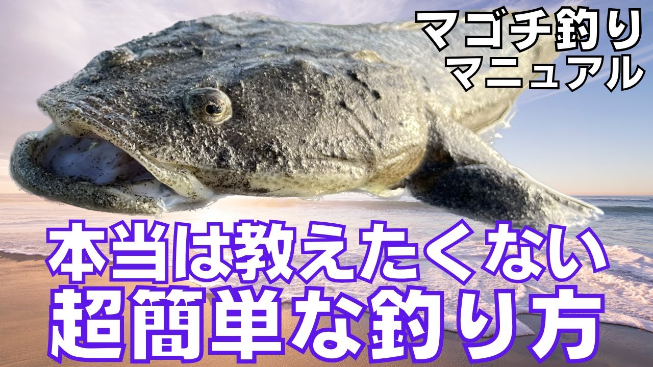 必見‼︎誰でも必ずマゴチが超簡単に釣れる方法‼︎