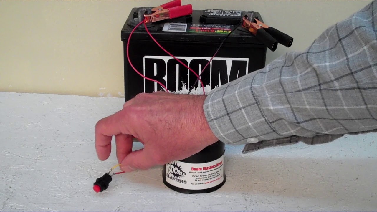 We're In The Money Car Horn