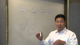 Wafer Plane Analysis (2015)