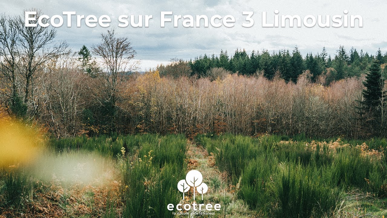 France 3 Limousin parle d'EcoTree ! - YouTube