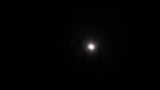 ASMR sounds from  4/1/2026