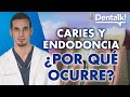 ENDODONCIA o tratamiento de conductos - Toda la información | Dentalk! ©️