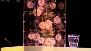 TEDxAmsterdam - Lonneke Gordijn - 11/30/2010