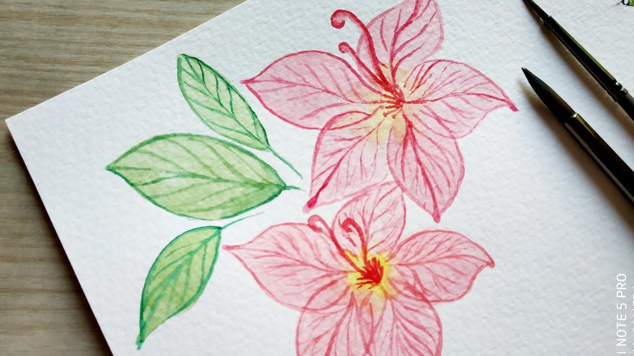 Paint transparent watercolor flower painting/watercolor tutorial 