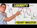 How to detect liquidity day trading  free indicator