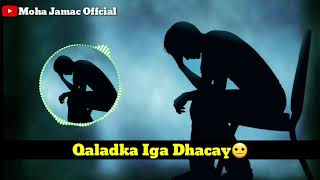 Hees Calaacal Ah Somali Whatsapp Status Lyrics