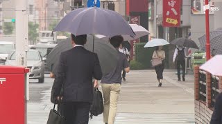 動画ニュース