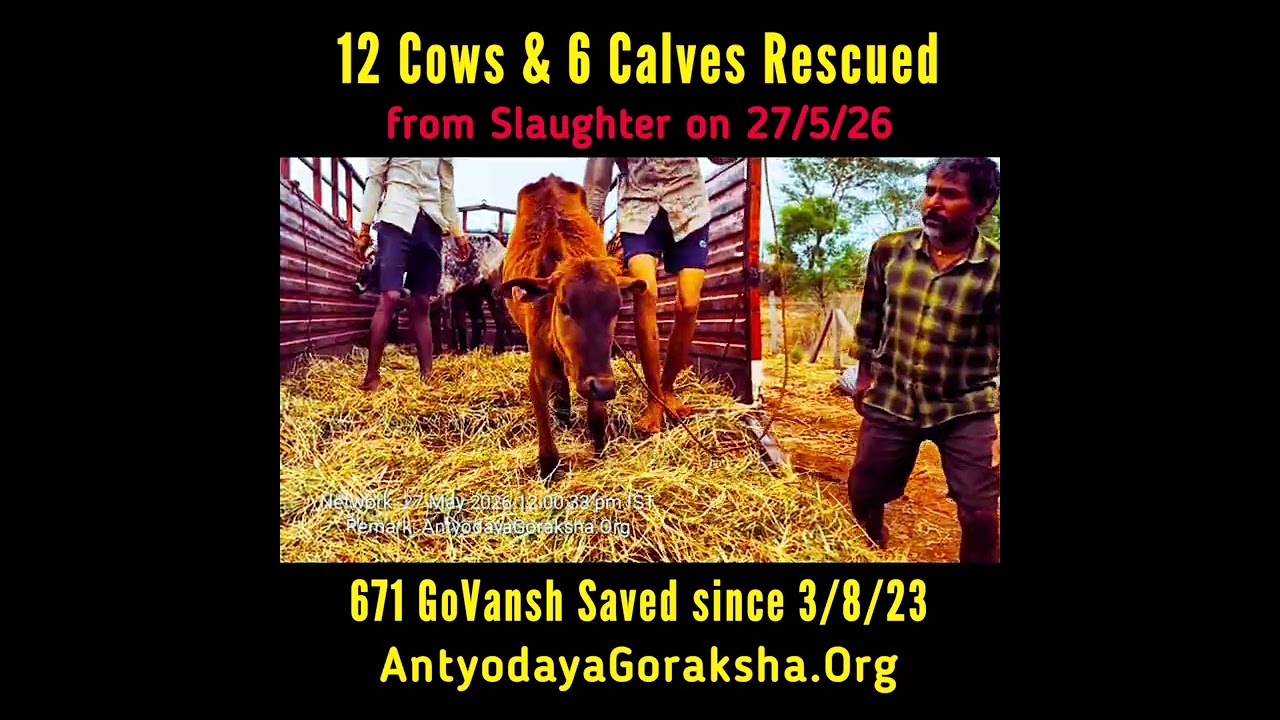 [27 may 2026] 18 Lives Saved ✅