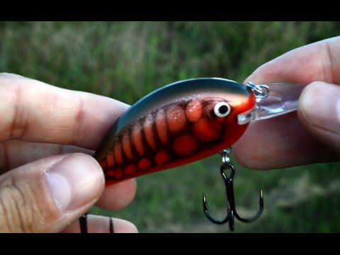 boys net fishing Kids Net, Fishing for Kids, Crabbing Equipment & Bait Pouch | Extendable Telescopic Kids Fishing Net bearings__1RB PE SIZE:8 A unique and fun Conventional Reel Best Spincast