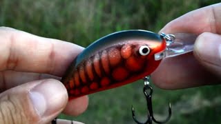 How To Fish The Bagley Sunny B | Mystery Tackle Box