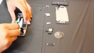 iPhone 6 Disassembly