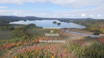 Intro to Wetlands 4k 21017