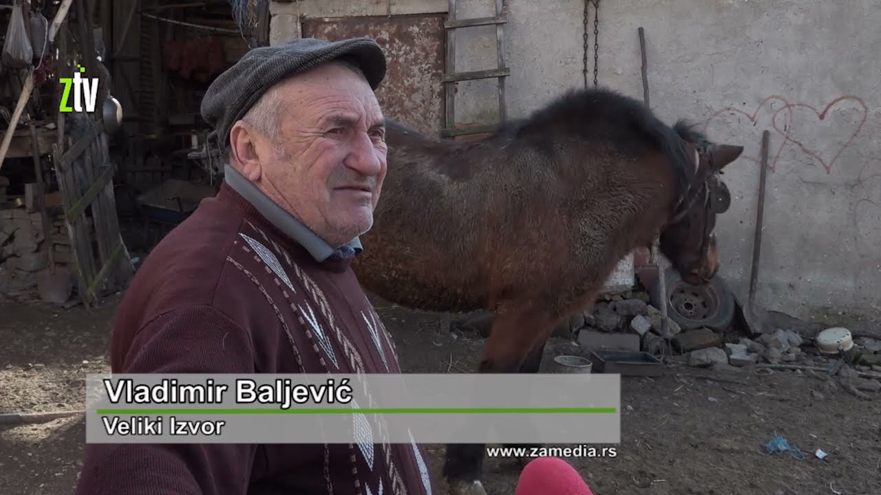 Sve je manje konja u selima