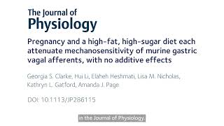 PHYSIOLOGY SHORTS: Pregnancy and a high-fat, high-sugar diet each attenuate the sensitivity of GVA