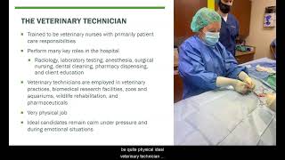 Celebrity Everything You Need to Know About the Veterinary Technology Program at Middlesex Community College! Wealth