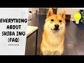 Answer YOUR questions about Shiba Inu Part 2 | Super Shiba